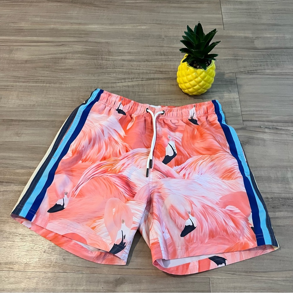 Mavrans Flamingo Mens Print Swim Shorts